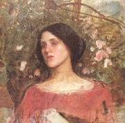 John William Waterhouse The Rose Bower (mk41) Spain oil painting artist